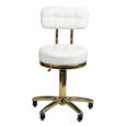 chair-with-backrest-white-gold-am-961 (1)