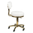 chair-with-backrest-white-gold-am-961 (2)