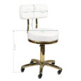 chair-with-backrest-white-gold-am-961 (4)